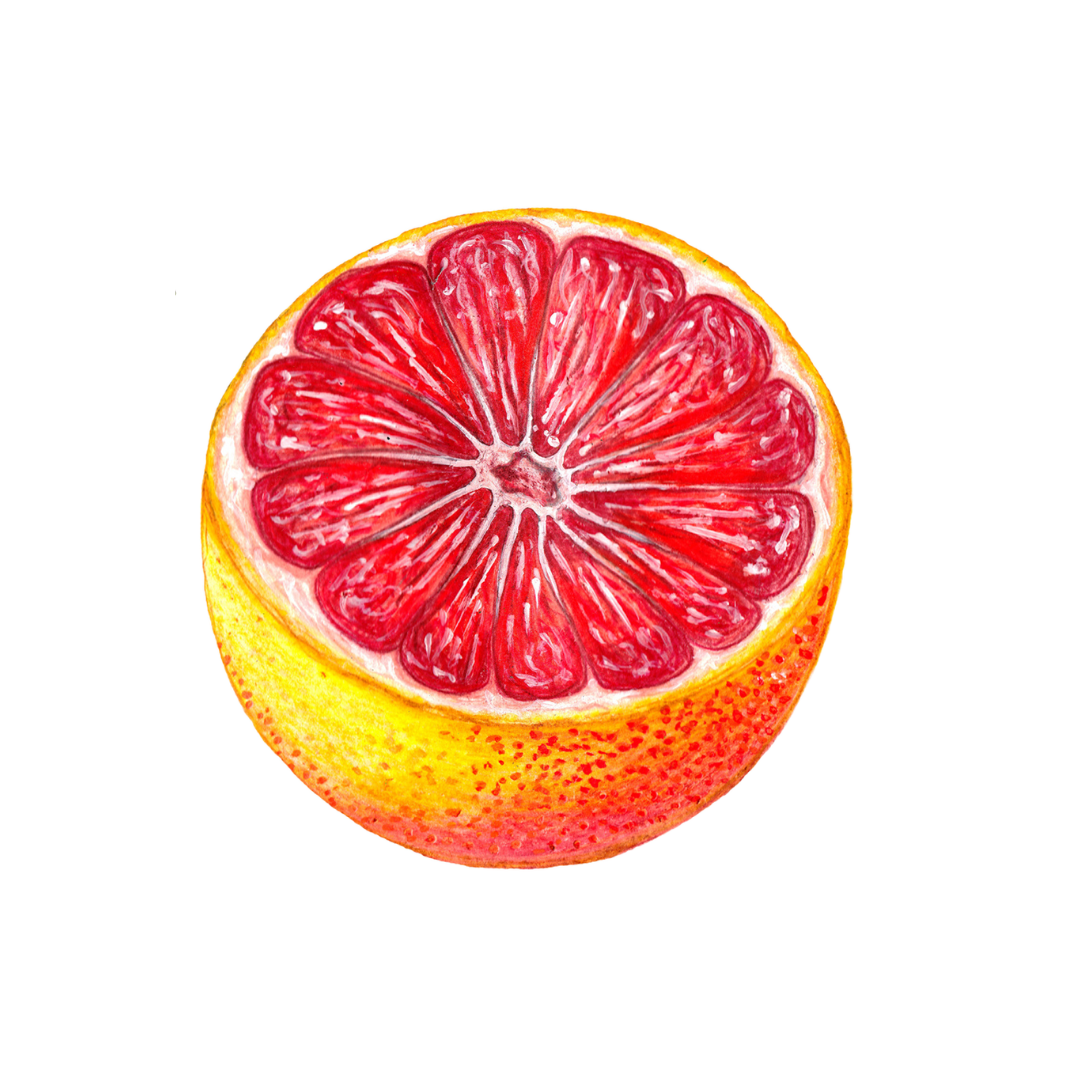 Featured_Botanicals - Grapefruit