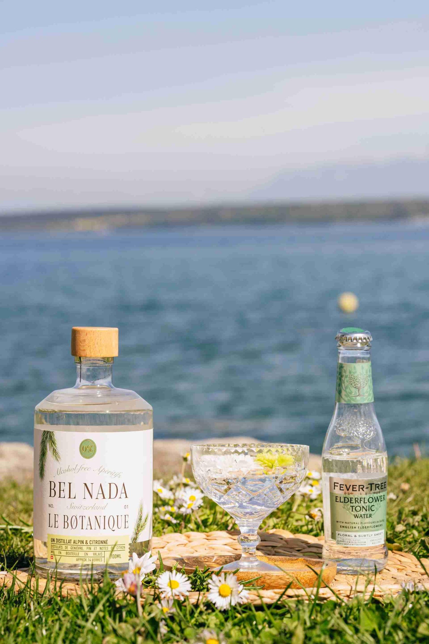 8 Best Non-Alcoholic Gin and Tonic Combinations - Bel Nada 