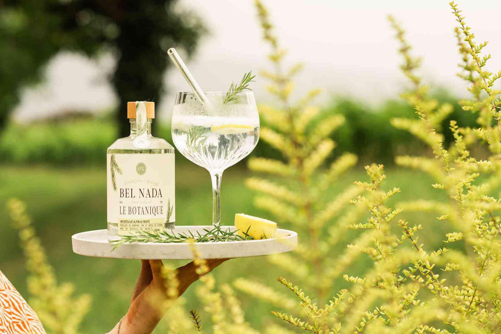 Top 10 Best Non-Alcoholic Gins for Gin Lovers - Bel Nada 